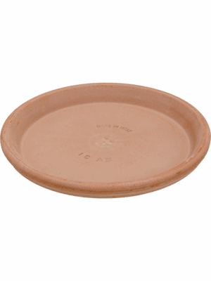 Terra Cotta