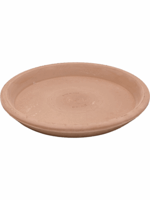 Terra Cotta
