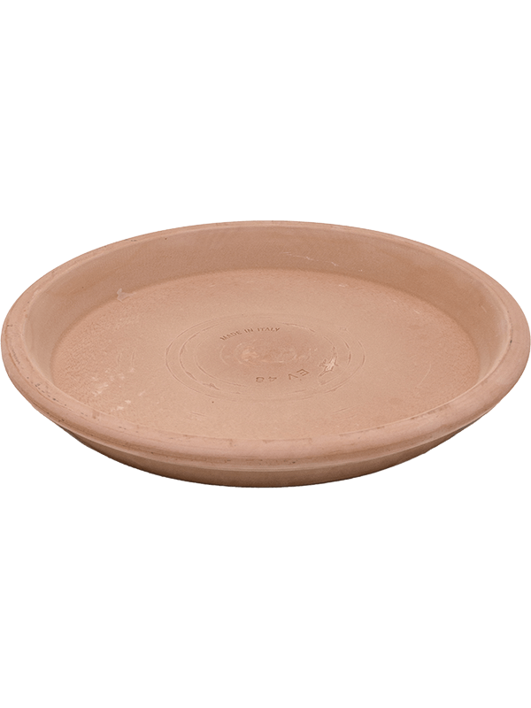 Terra Cotta