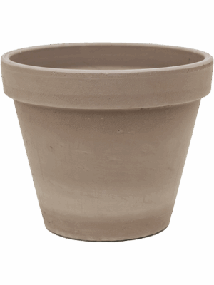 Terra Cotta