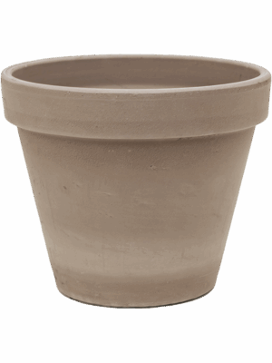 Terra Cotta