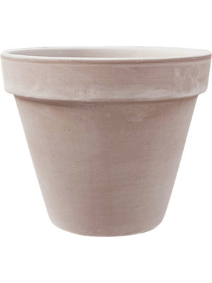 Terra Cotta