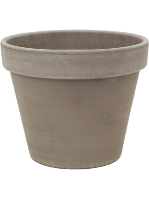Terra Cotta