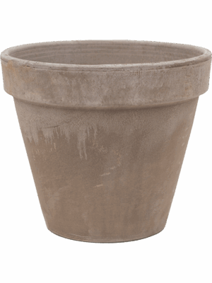 Terra Cotta