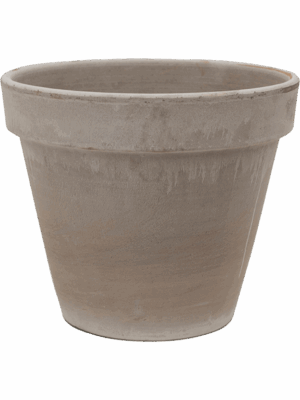 Terra Cotta
