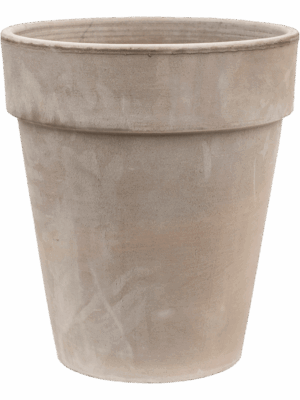 Terra Cotta
