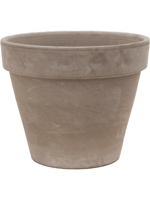 Terra Cotta