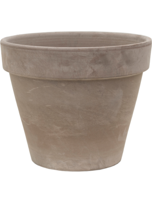 Terra Cotta