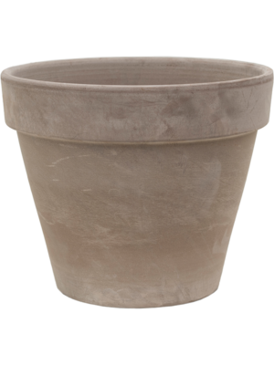 Terra Cotta