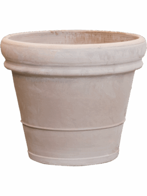 Terra Cotta