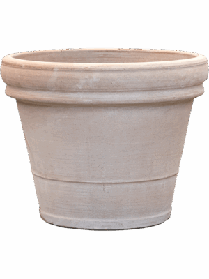 Terra Cotta