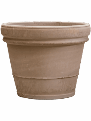 Terra Cotta