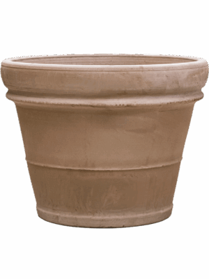 Terra Cotta
