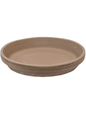 Terra Cotta