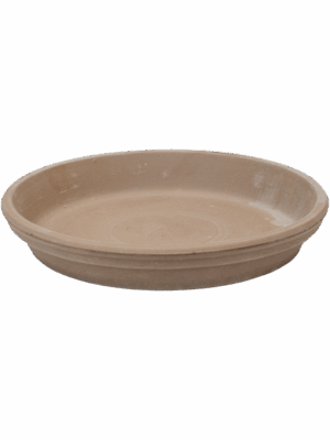 Terra Cotta