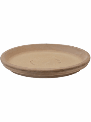 Terra Cotta