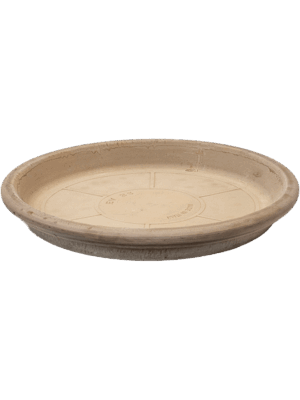 Terra Cotta