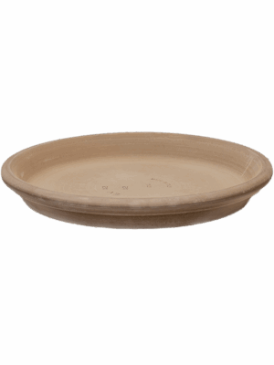 Terra Cotta