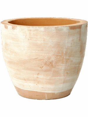 Terra Cotta