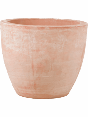 Terra Cotta