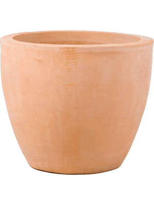 Terra Cotta