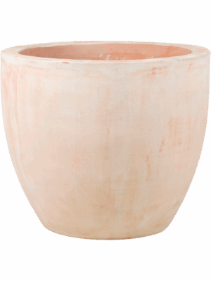 Terra Cotta