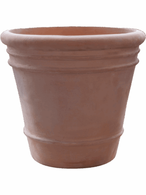 Terra Cotta Doppio