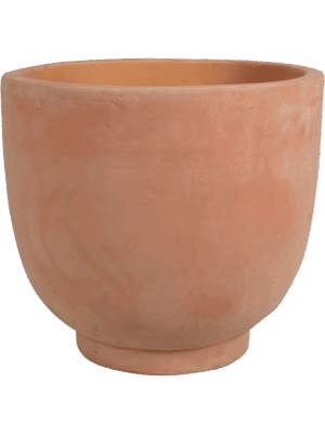 Terra Cotta Kevin