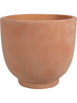 Terra Cotta Kevin