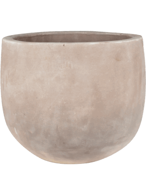 Terra Cotta Omar