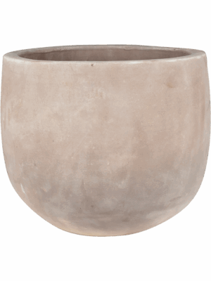 Terra Cotta Omar
