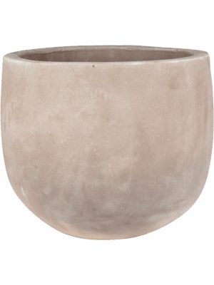 Terra Cotta Omar
