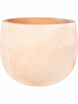 Terra Cotta Omar