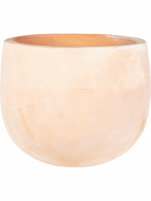 Terra Cotta Omar