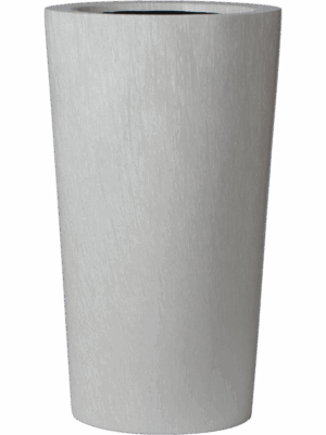 Baq Timeless Cono Regular