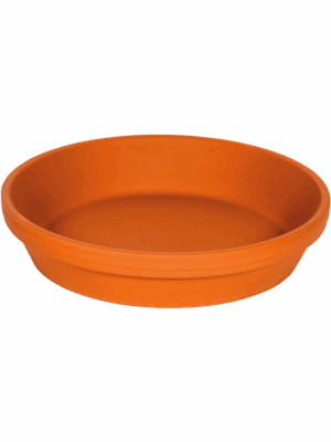 Terra Cotta