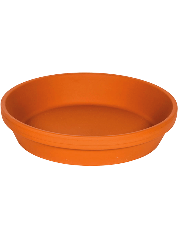 Terra Cotta