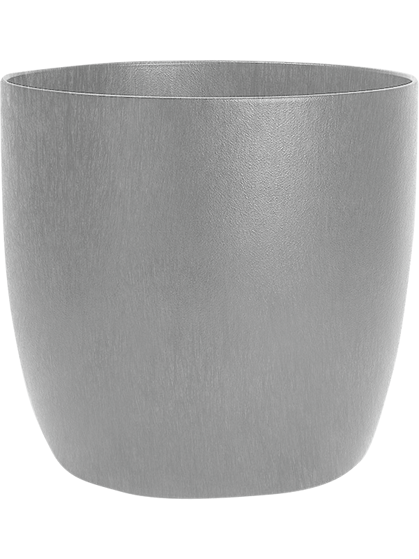 Top Standard / Caméléon, Plantinum