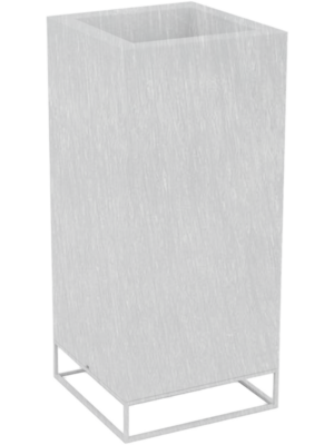 Vela