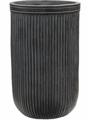 Baq Vertical Rib