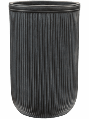 Baq Vertical Rib