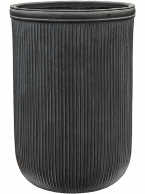 Baq Vertical Rib