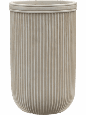 Baq Vertical Rib