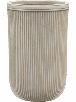 Baq Vertical Rib