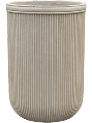 Baq Vertical Rib