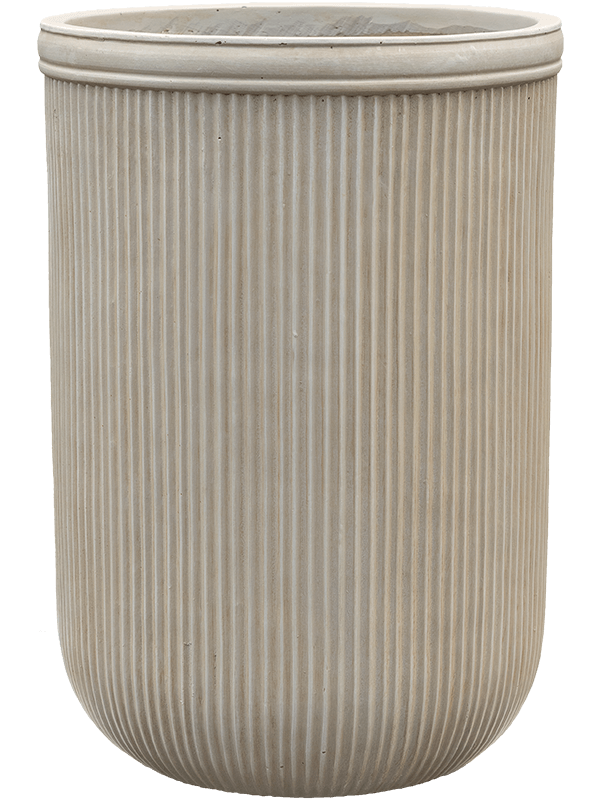 Baq Vertical Rib