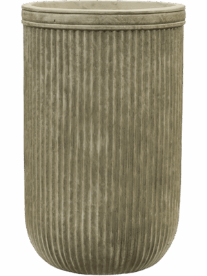 Baq Vertical Rib