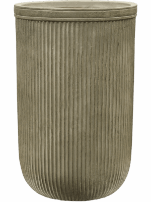Baq Vertical Rib