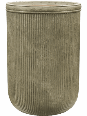 Baq Vertical Rib