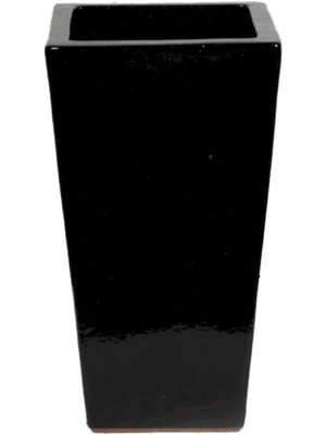Plain
